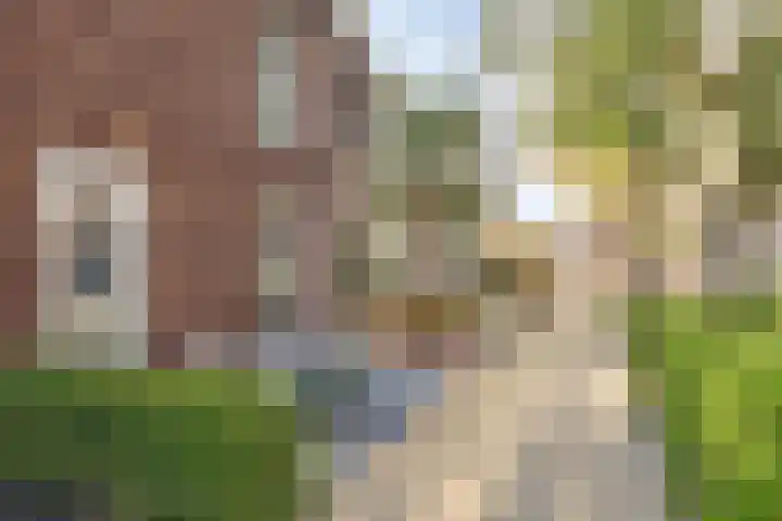 Maatsestraat 4 E Uden thumbnail 51