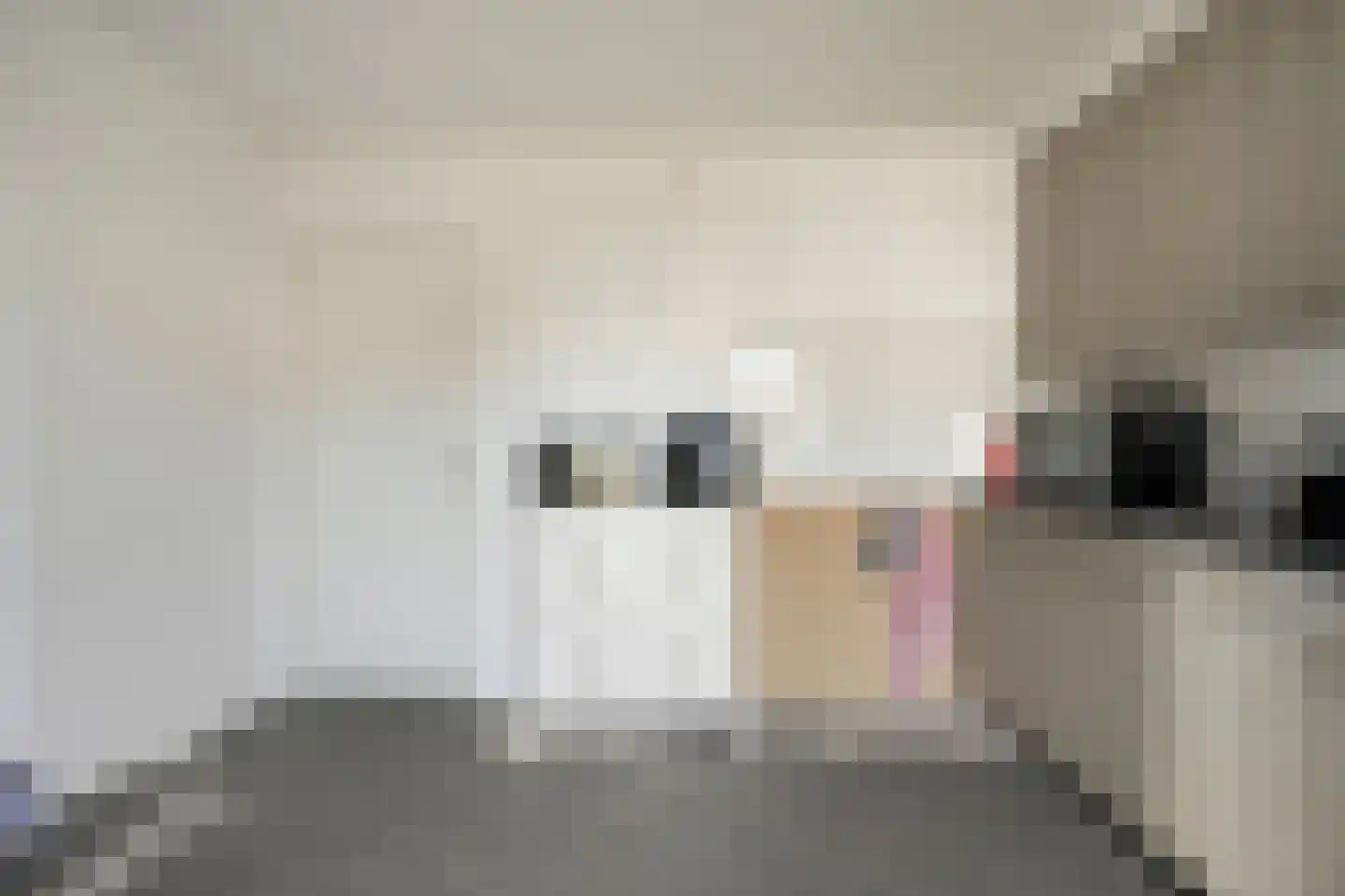 Maatsestraat 41 Uden thumbnail 10
