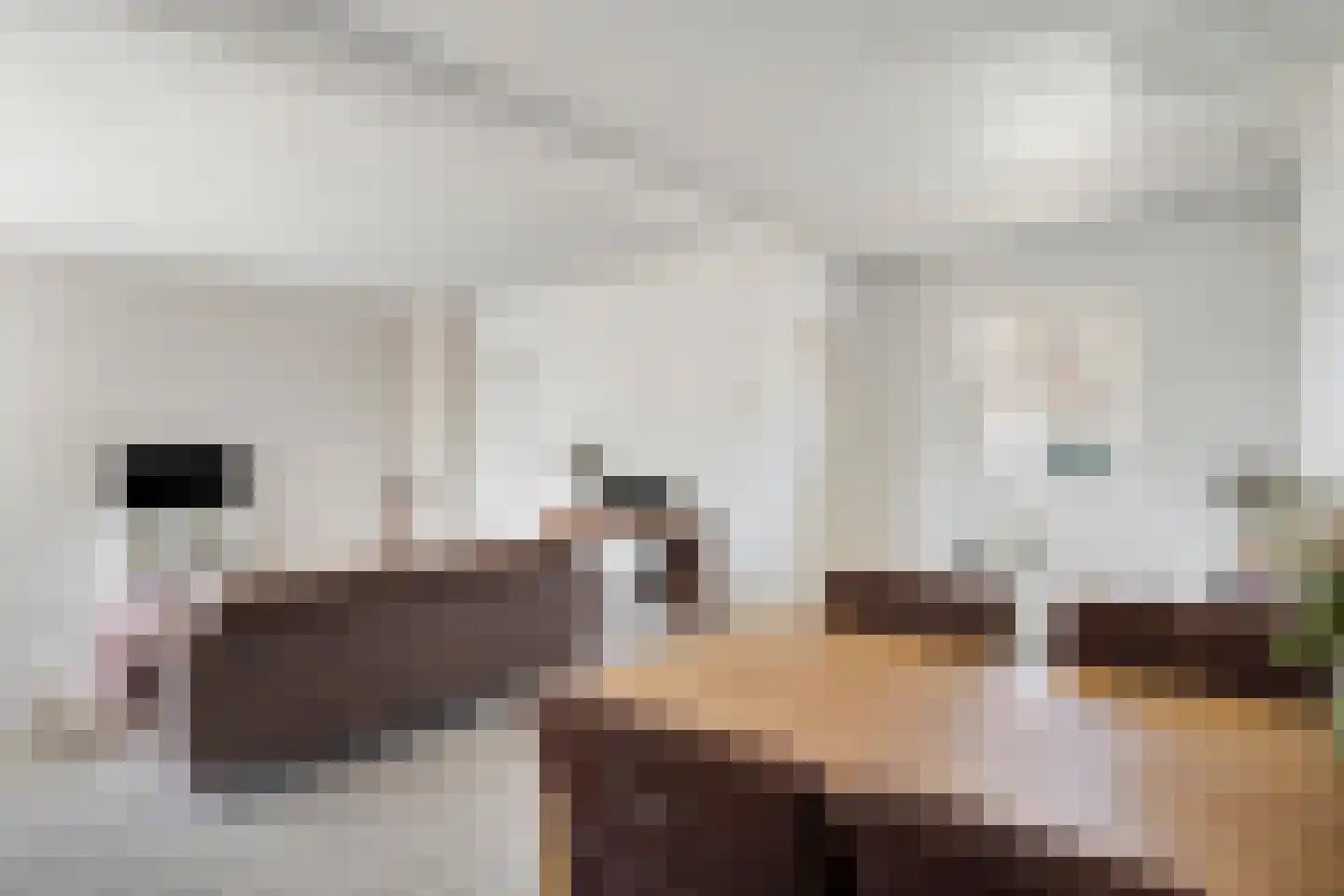 Maatsestraat 41 Uden thumbnail 5