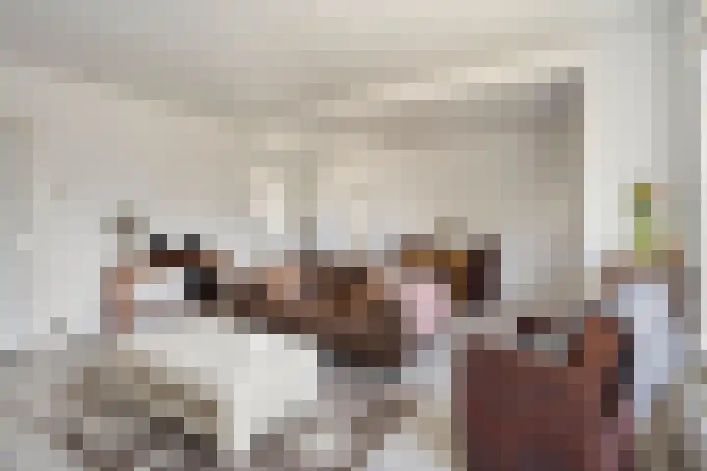 Maatsestraat 41 Uden thumbnail 7