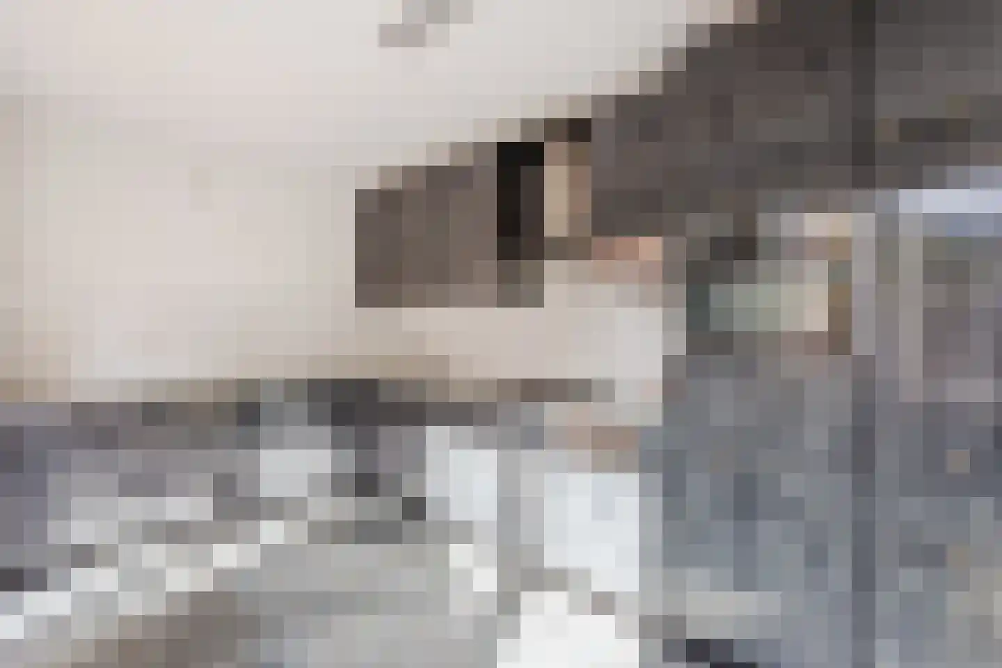 Maatweg 1 Tubbergen thumbnail 4