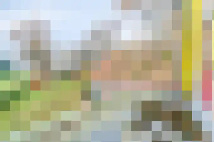 Maatweg 10 Elspeet thumbnail 21