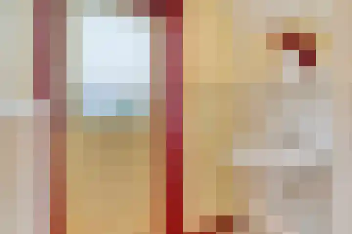 Maatweg 10 Elspeet thumbnail 25