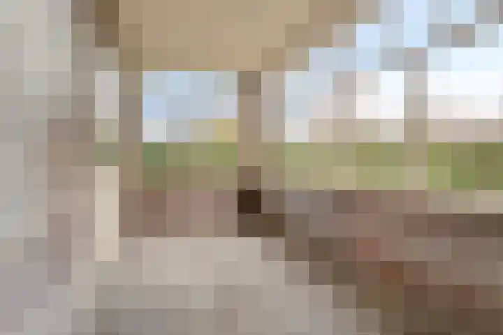 Maatweg 10 Elspeet thumbnail 29
