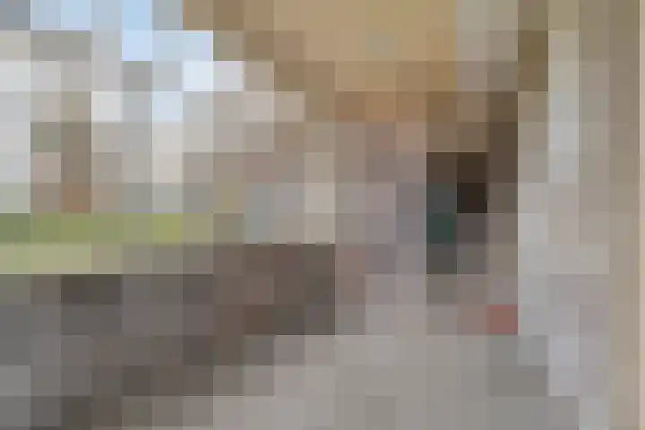 Maatweg 10 Elspeet thumbnail 30