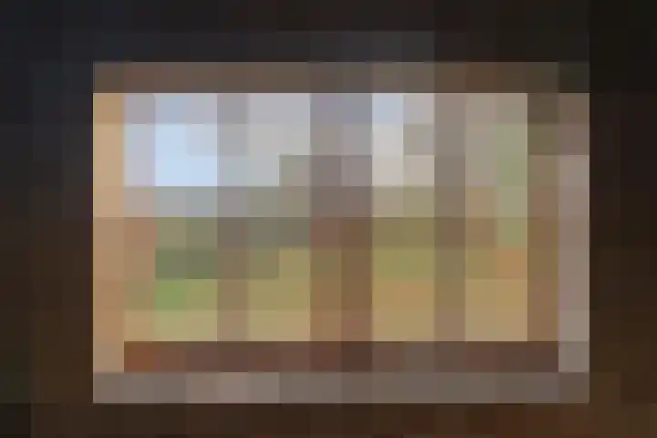 Maatweg 10 Elspeet thumbnail 35