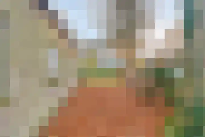 Maatweg 10 Elspeet thumbnail 38