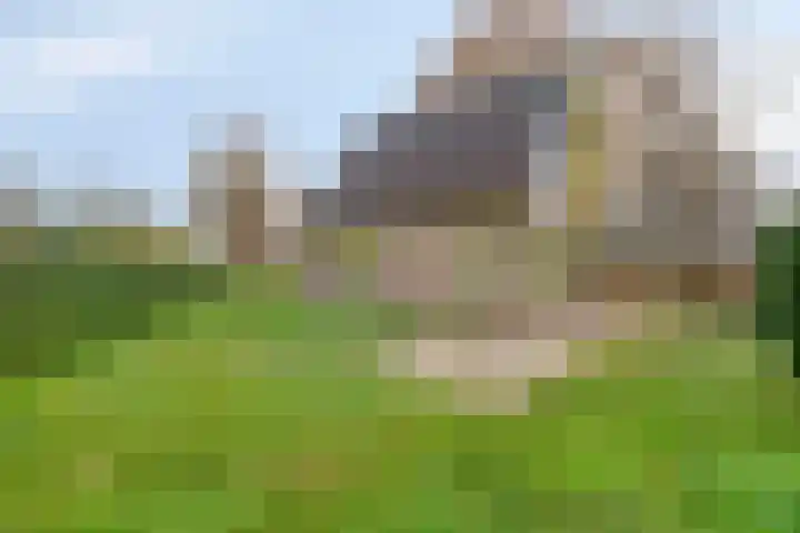 Maatweg 10 Elspeet thumbnail 39