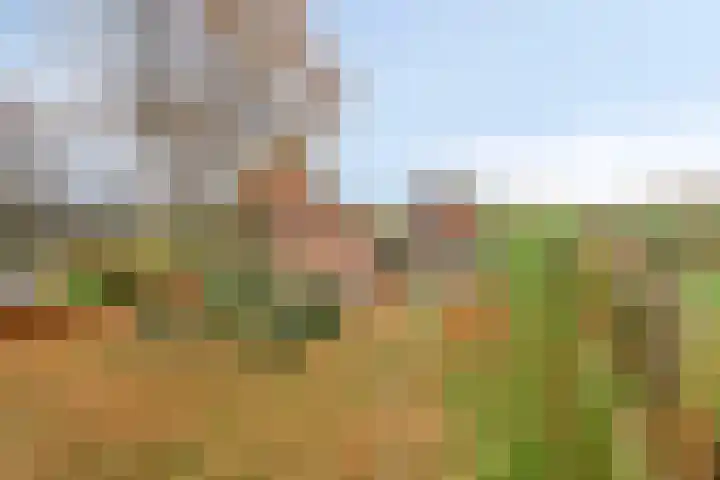 Maatweg 10 Elspeet thumbnail 42