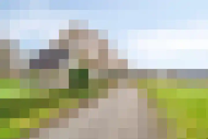 Maatweg 10 Elspeet thumbnail 43