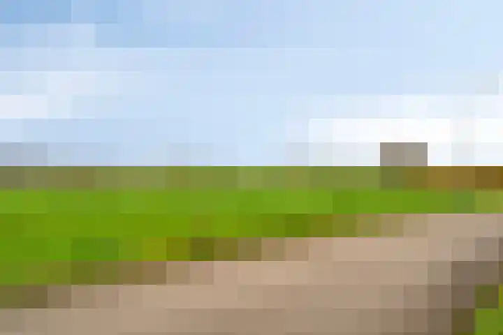 Maatweg 10 Elspeet thumbnail 44