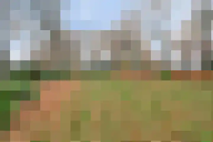 Maatweg 10 Elspeet thumbnail 45