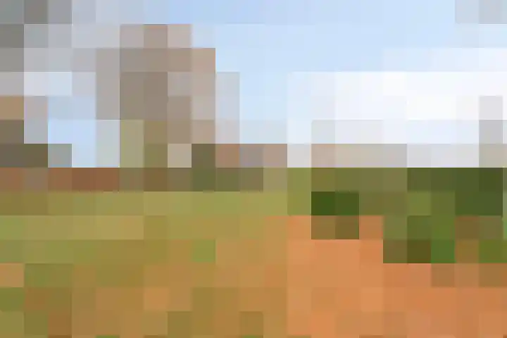 Maatweg 10 Elspeet thumbnail 46