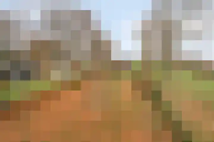 Maatweg 10 Elspeet thumbnail 47