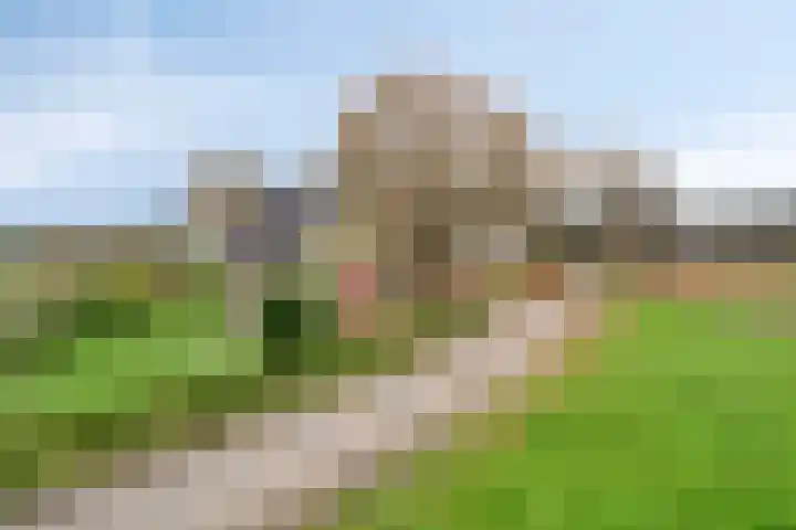Maatweg 10 Elspeet thumbnail 5