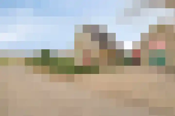Maatweg 10 Elspeet thumbnail 6