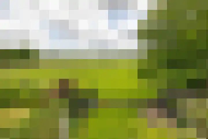 Maatweg 2 Soest thumbnail 20