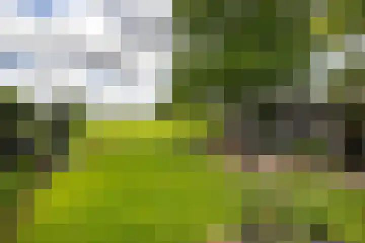 Maatweg 2 Soest thumbnail 21