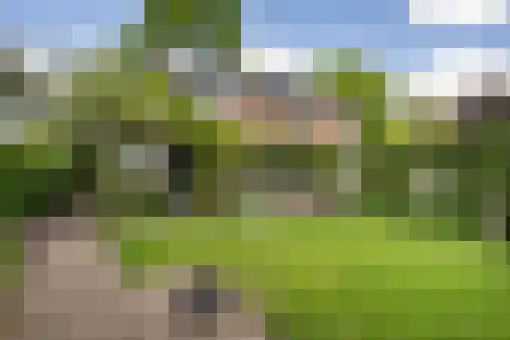 Maatweg 2 Soest thumbnail 22