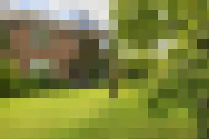 Maatweg 2 Soest thumbnail 24