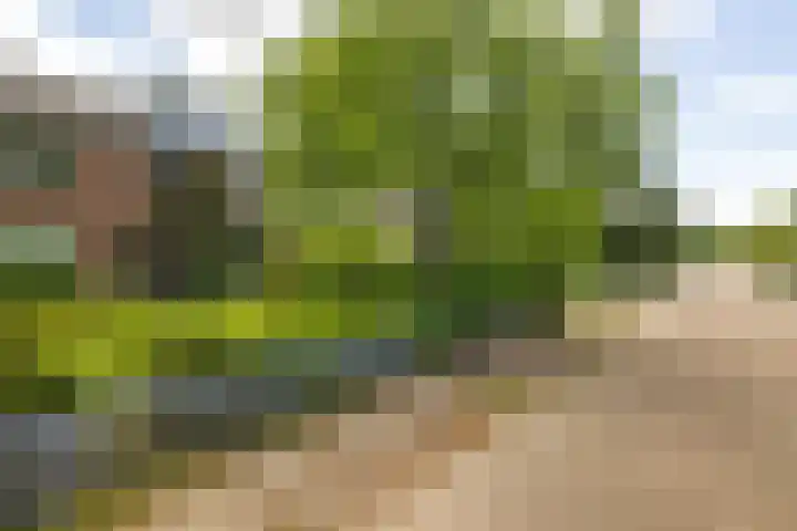 Maatweg 2 Soest thumbnail 25