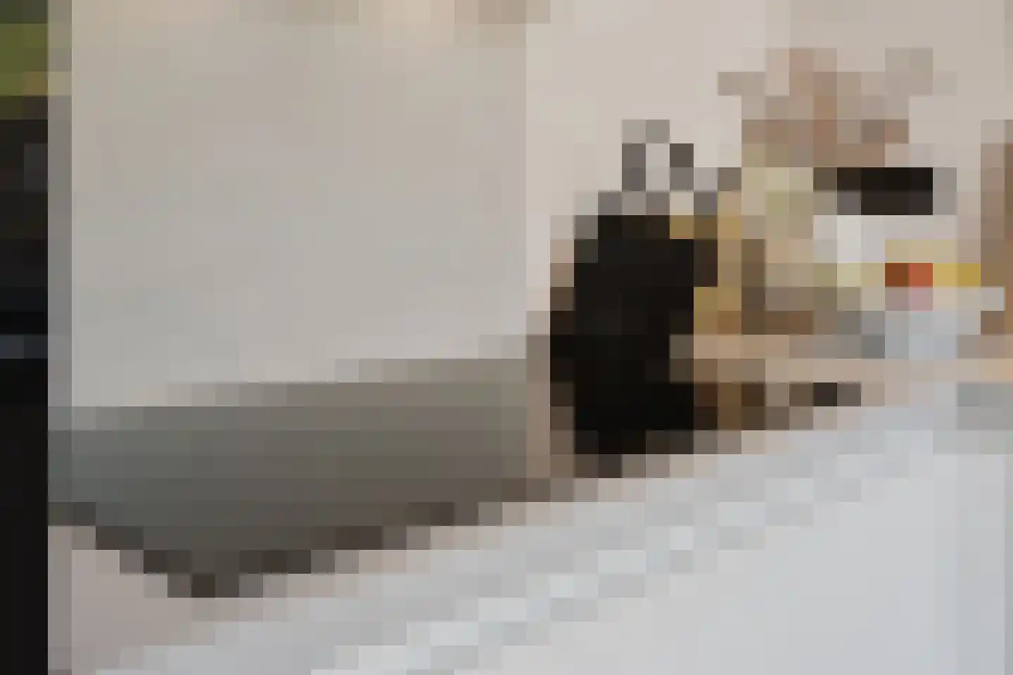 Maatweg 30 Renkum thumbnail 18
