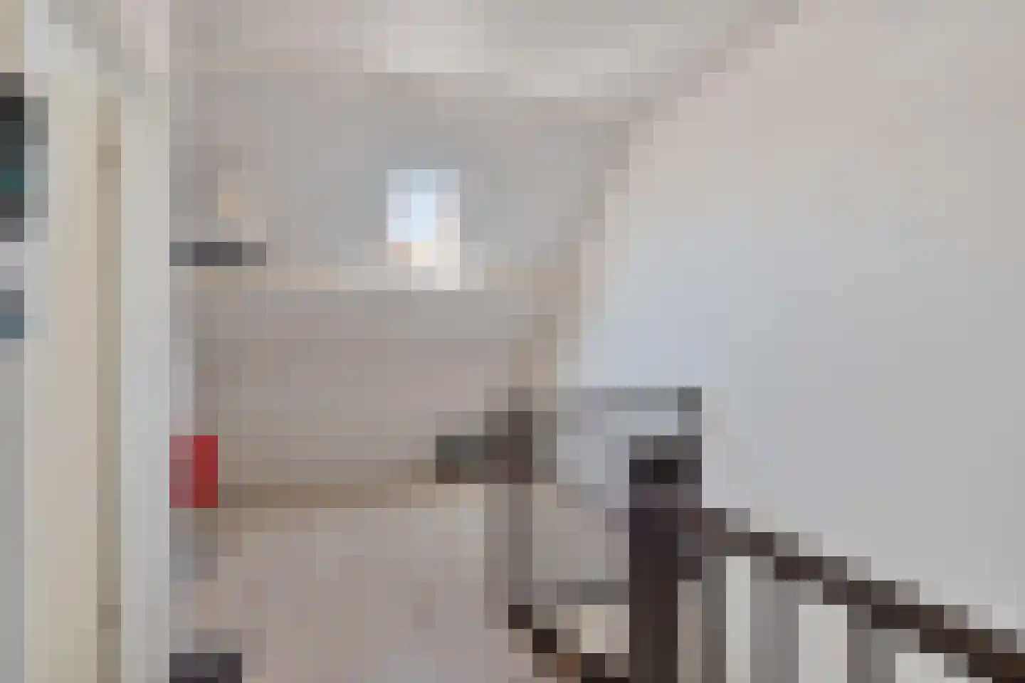 Maatweg 30 Renkum thumbnail 40