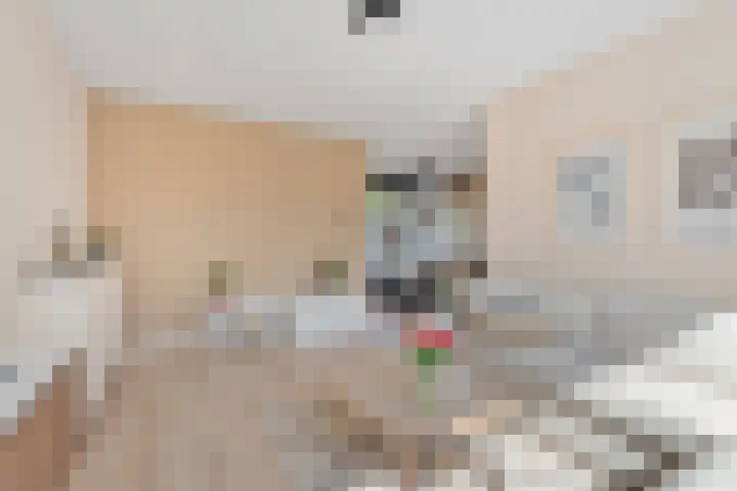 Maatweg 30 Renkum thumbnail 7