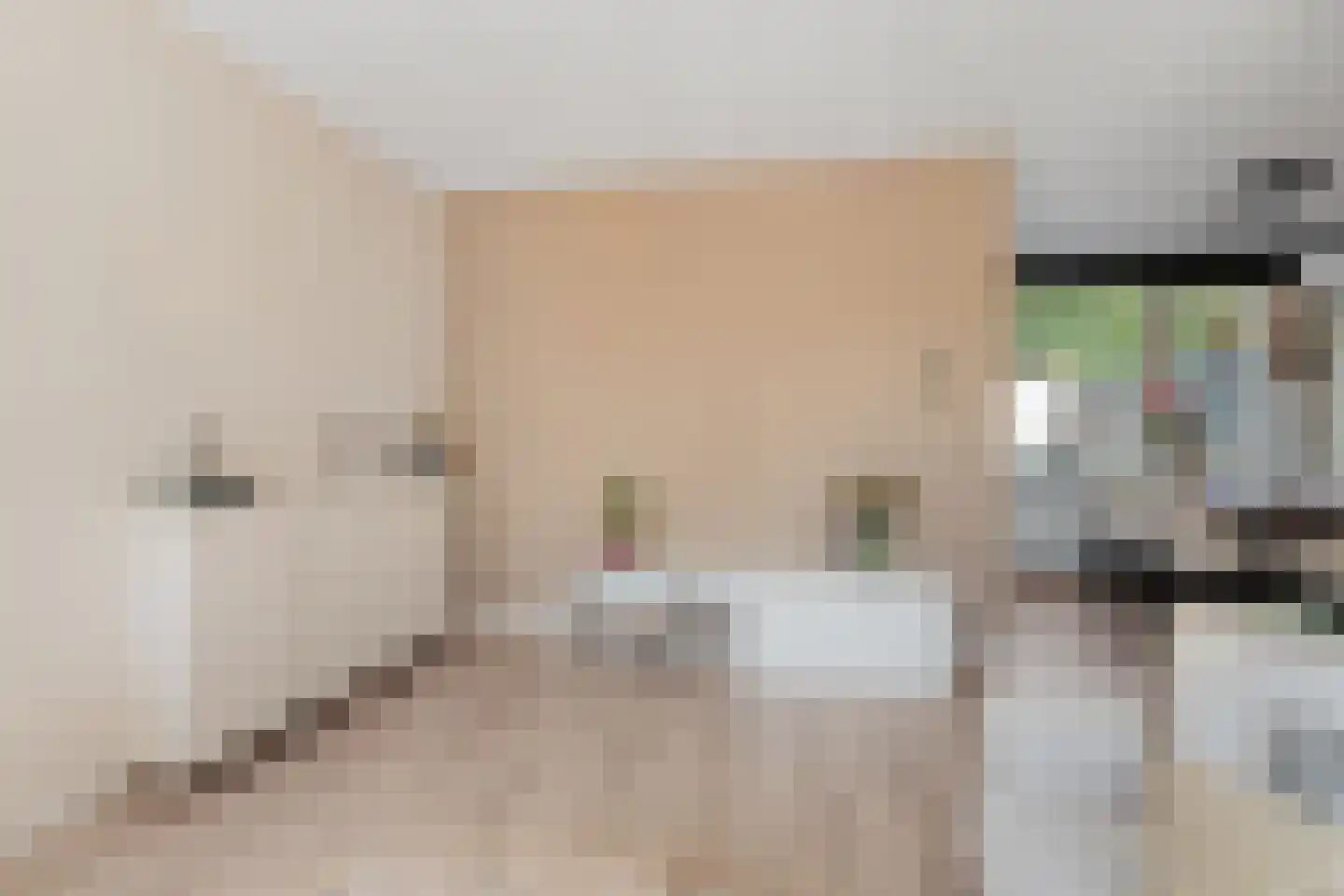 Maatweg 30 Renkum thumbnail 8