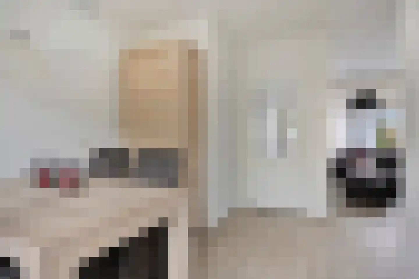 Maatweg 32 Renkum thumbnail 10