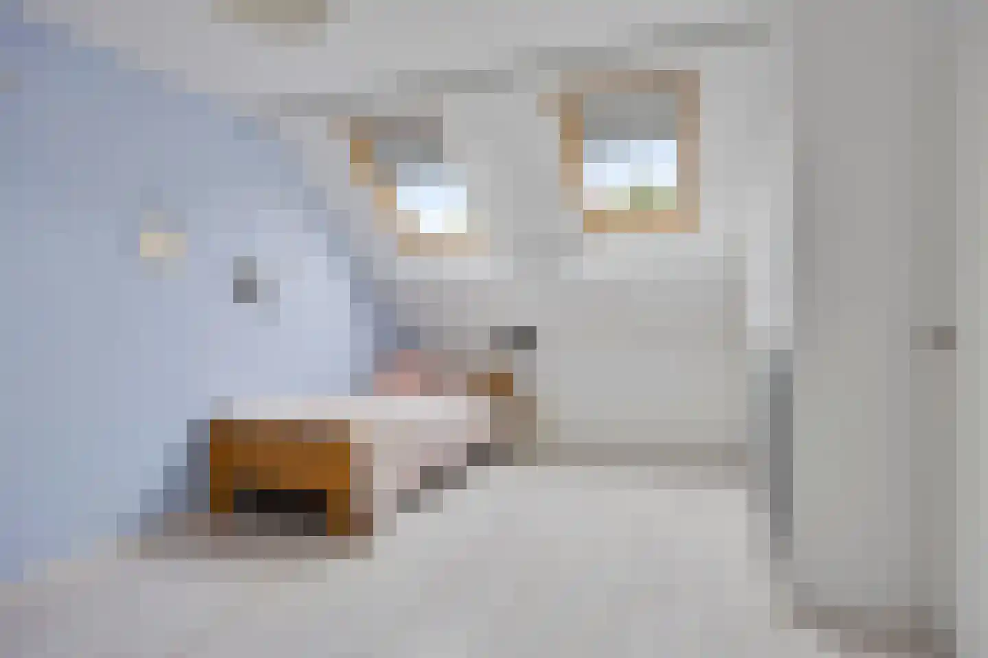 Maatweg 32 Renkum thumbnail 33