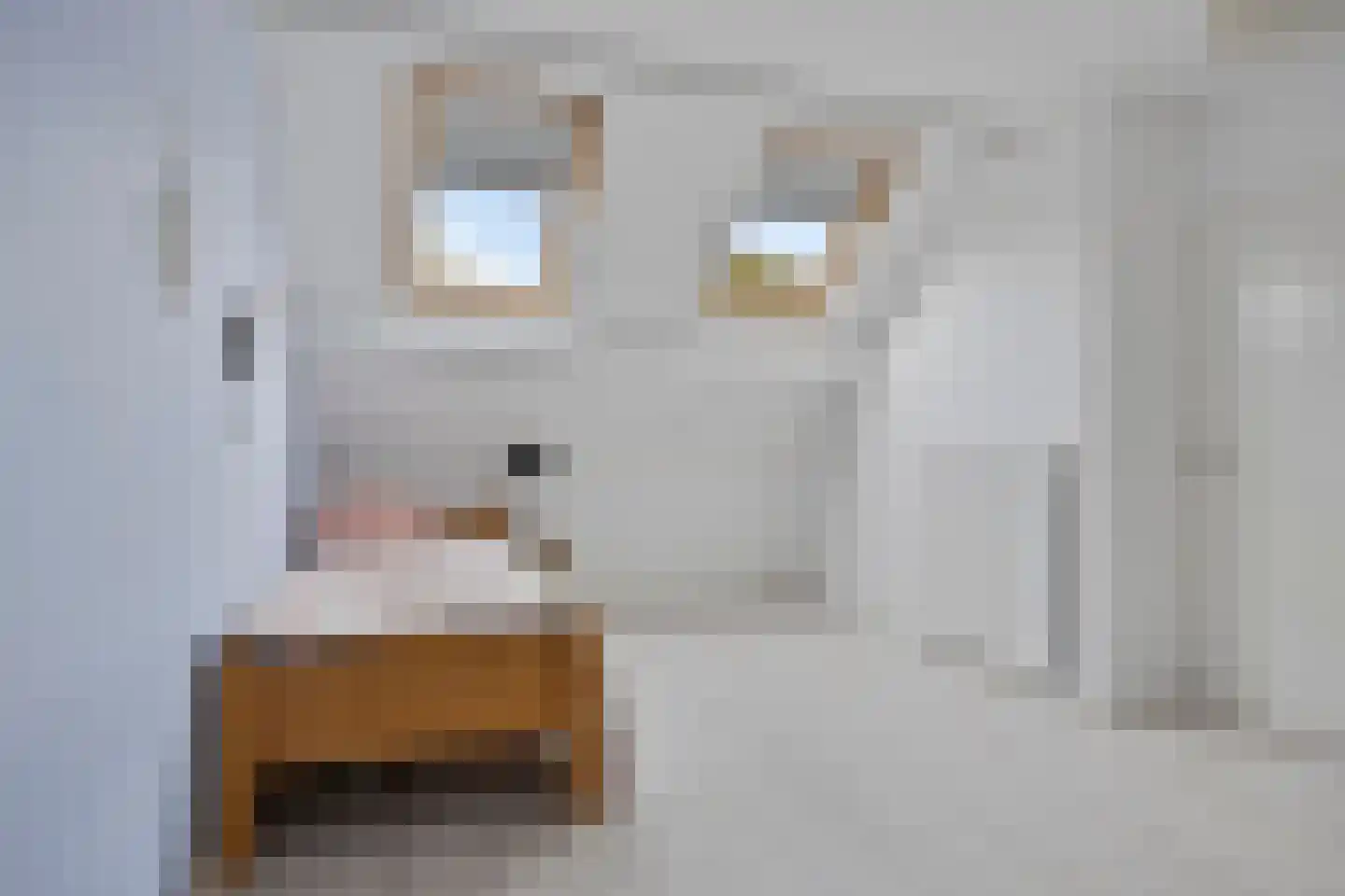 Maatweg 32 Renkum thumbnail 34
