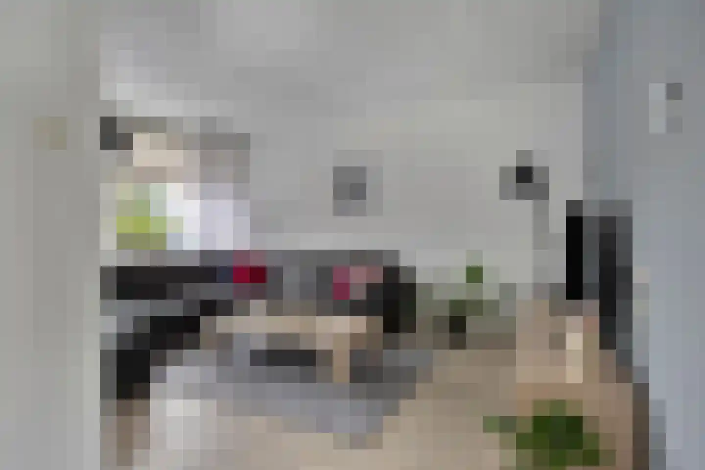 Maatweg 32 Renkum thumbnail 5
