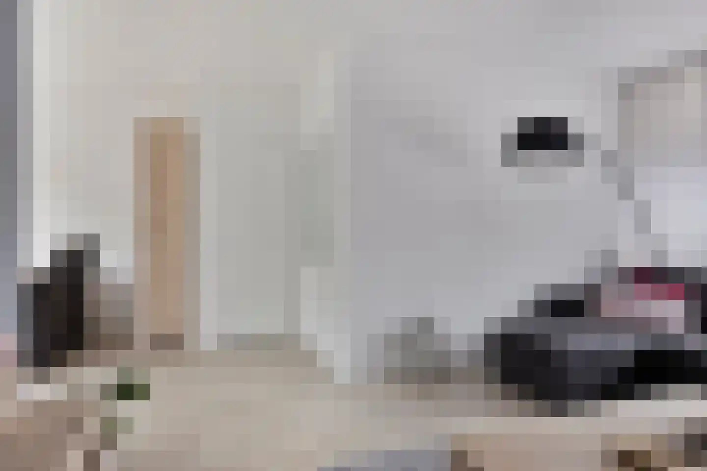 Maatweg 32 Renkum thumbnail 6