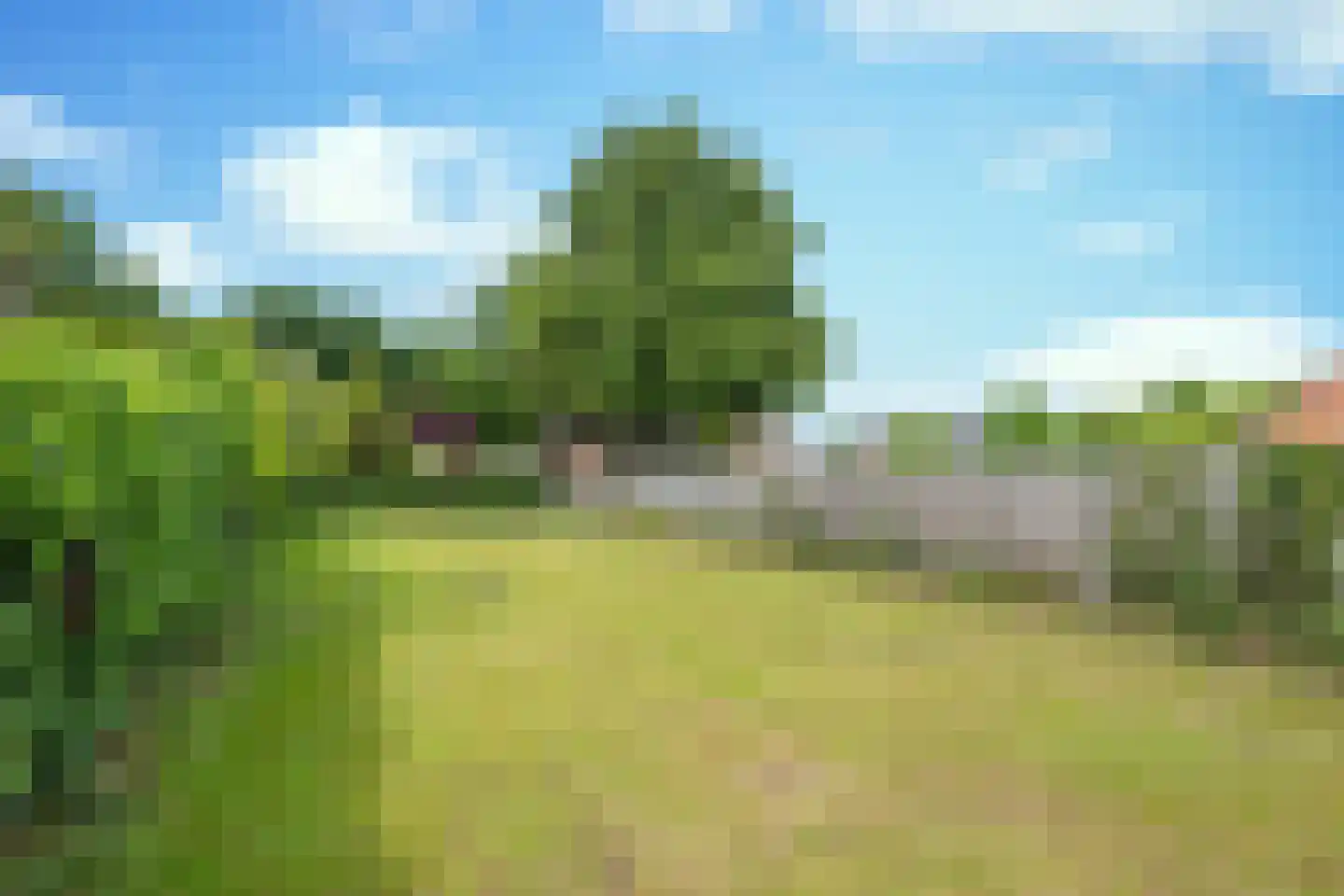 Maaymanseweg 9 Volkel thumbnail 11