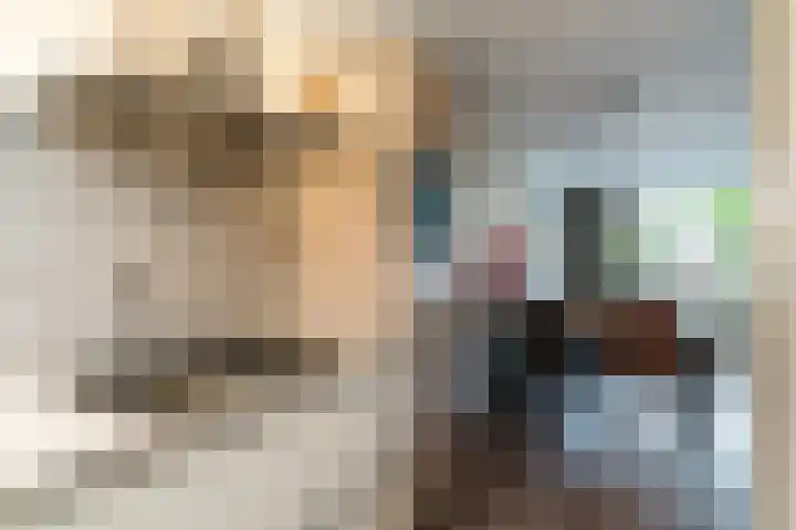 Mac Allisterstraat 22 Tilburg thumbnail 10