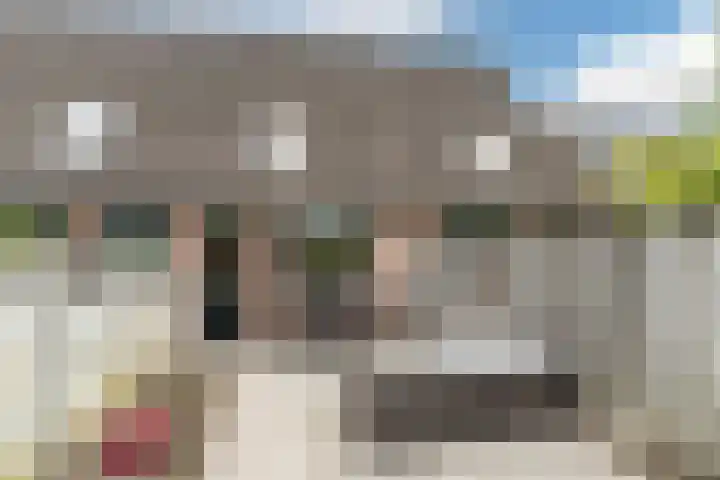 Mac Allisterstraat 22 Tilburg thumbnail 33