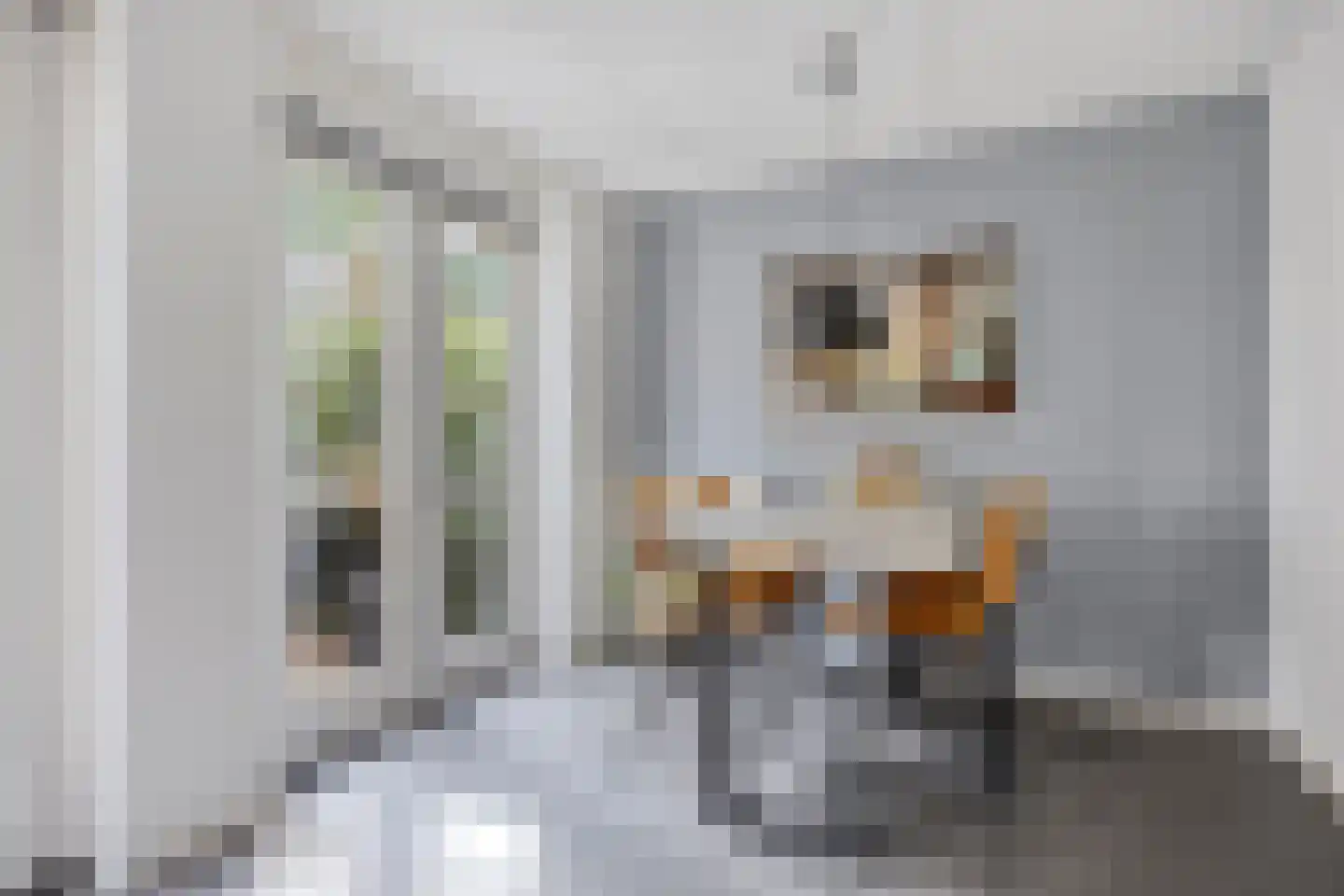 MacBridestraat 22 Veenendaal thumbnail 10
