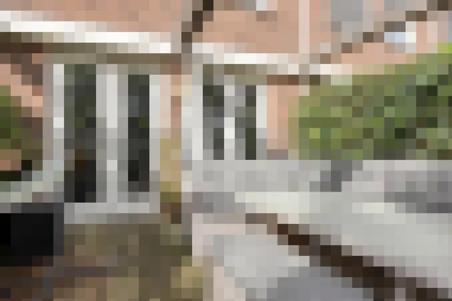 MacBridestraat 22 Veenendaal thumbnail 13