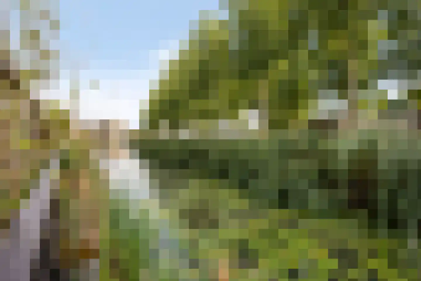 MacBridestraat 22 Veenendaal thumbnail 14