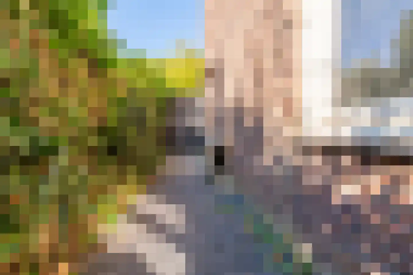 MacBridestraat 38 Veenendaal thumbnail 31