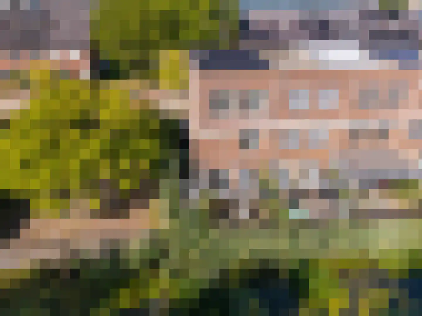 MacBridestraat 38 Veenendaal thumbnail 33