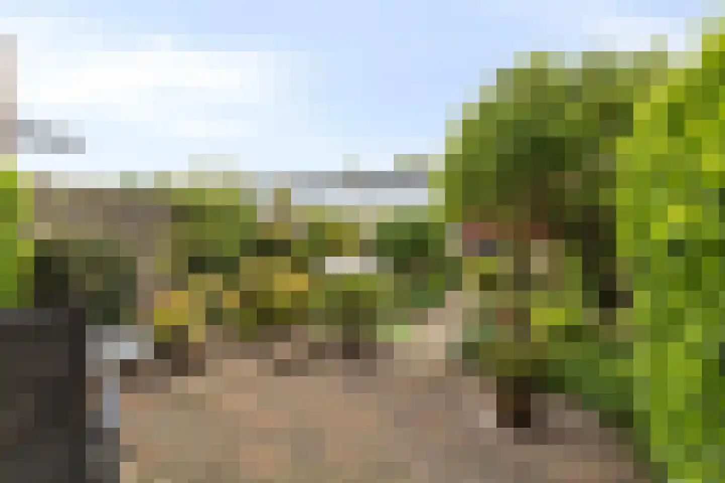 MacBridestraat 43 Veenendaal thumbnail 27