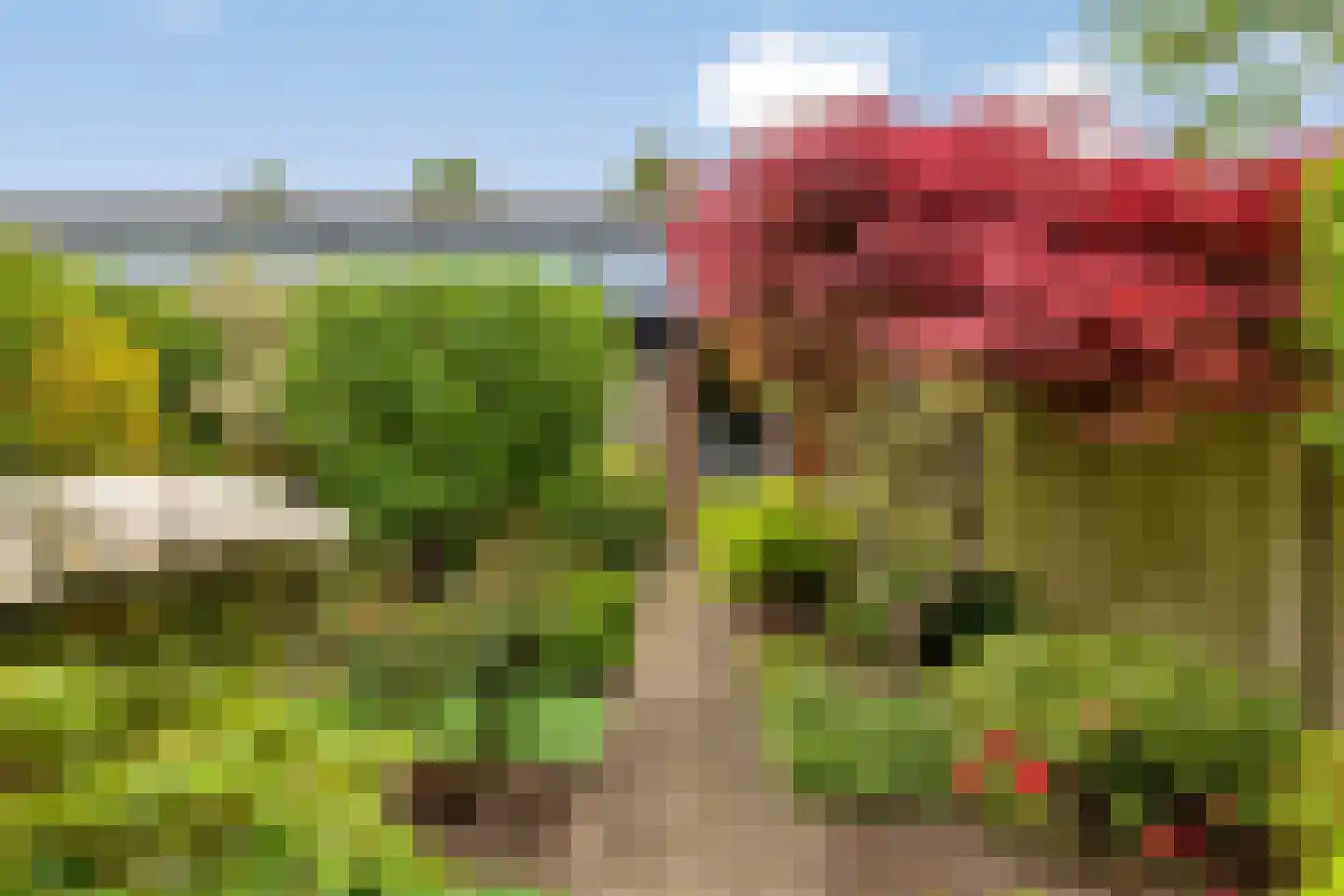 MacBridestraat 43 Veenendaal thumbnail 4