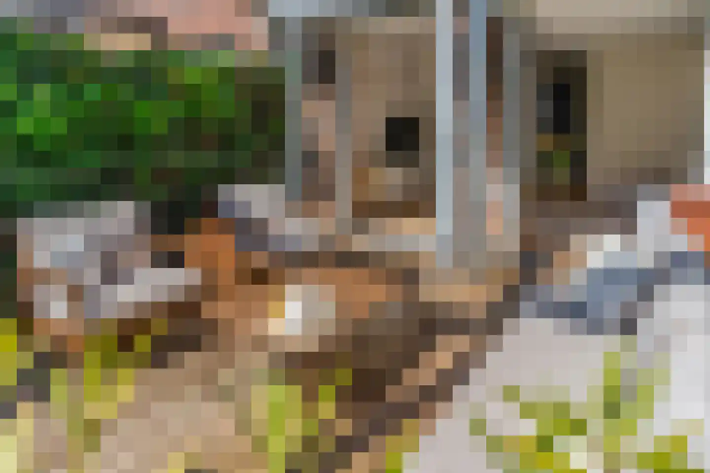 MacBridestraat 46 Veenendaal thumbnail 27