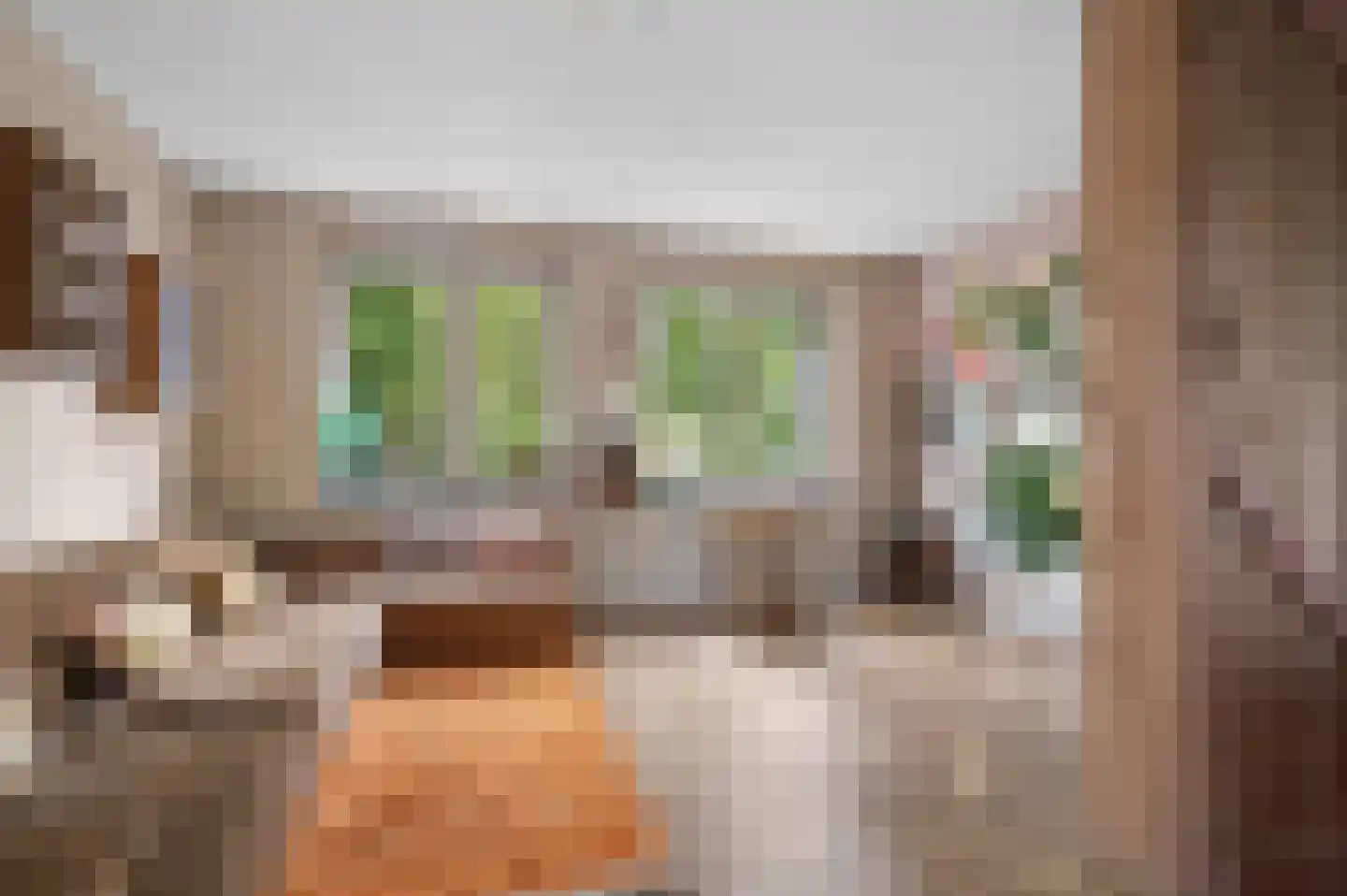 MacBridestraat 6 Veenendaal thumbnail 19