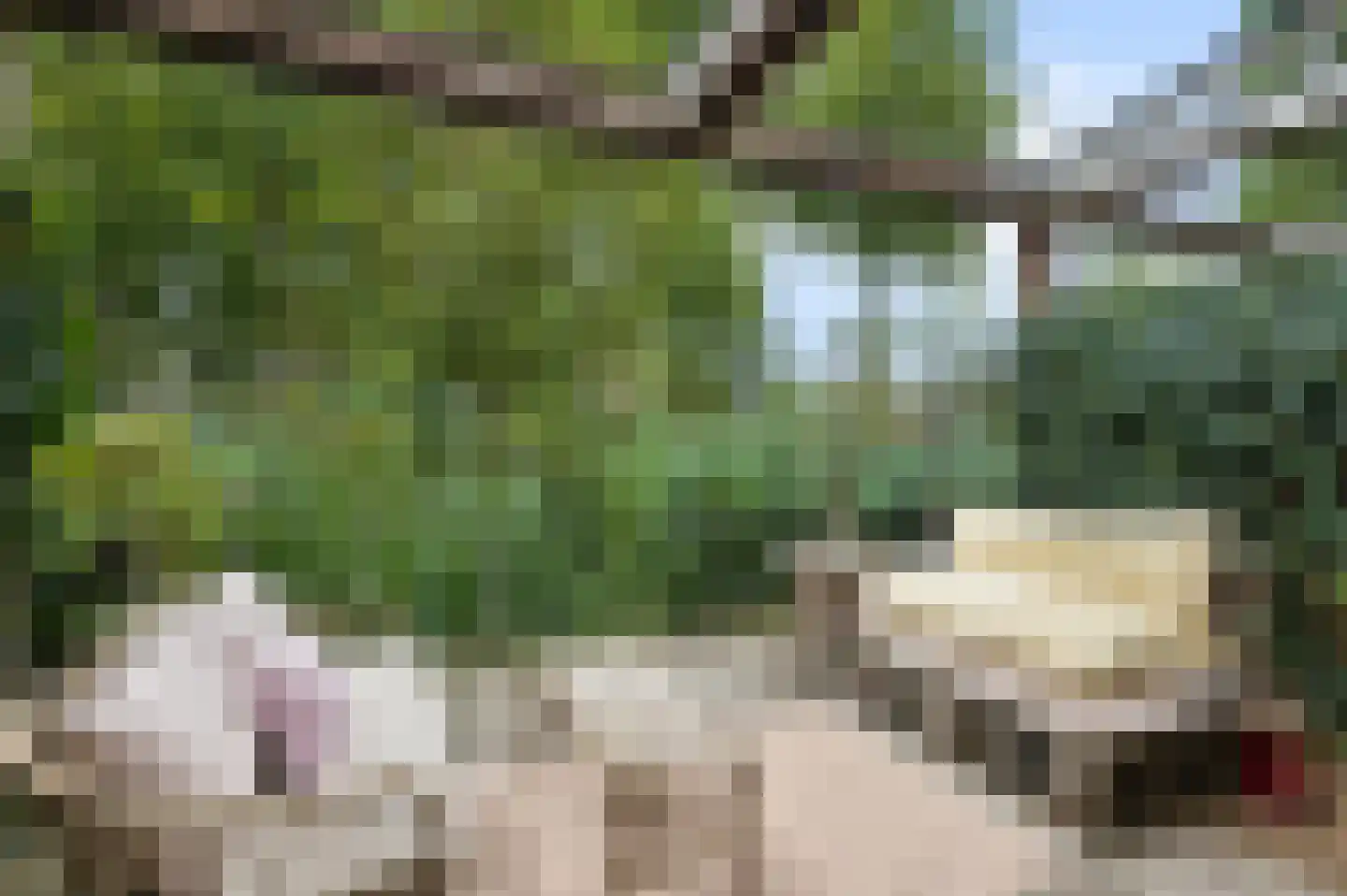 MacBridestraat 6 Veenendaal thumbnail 33