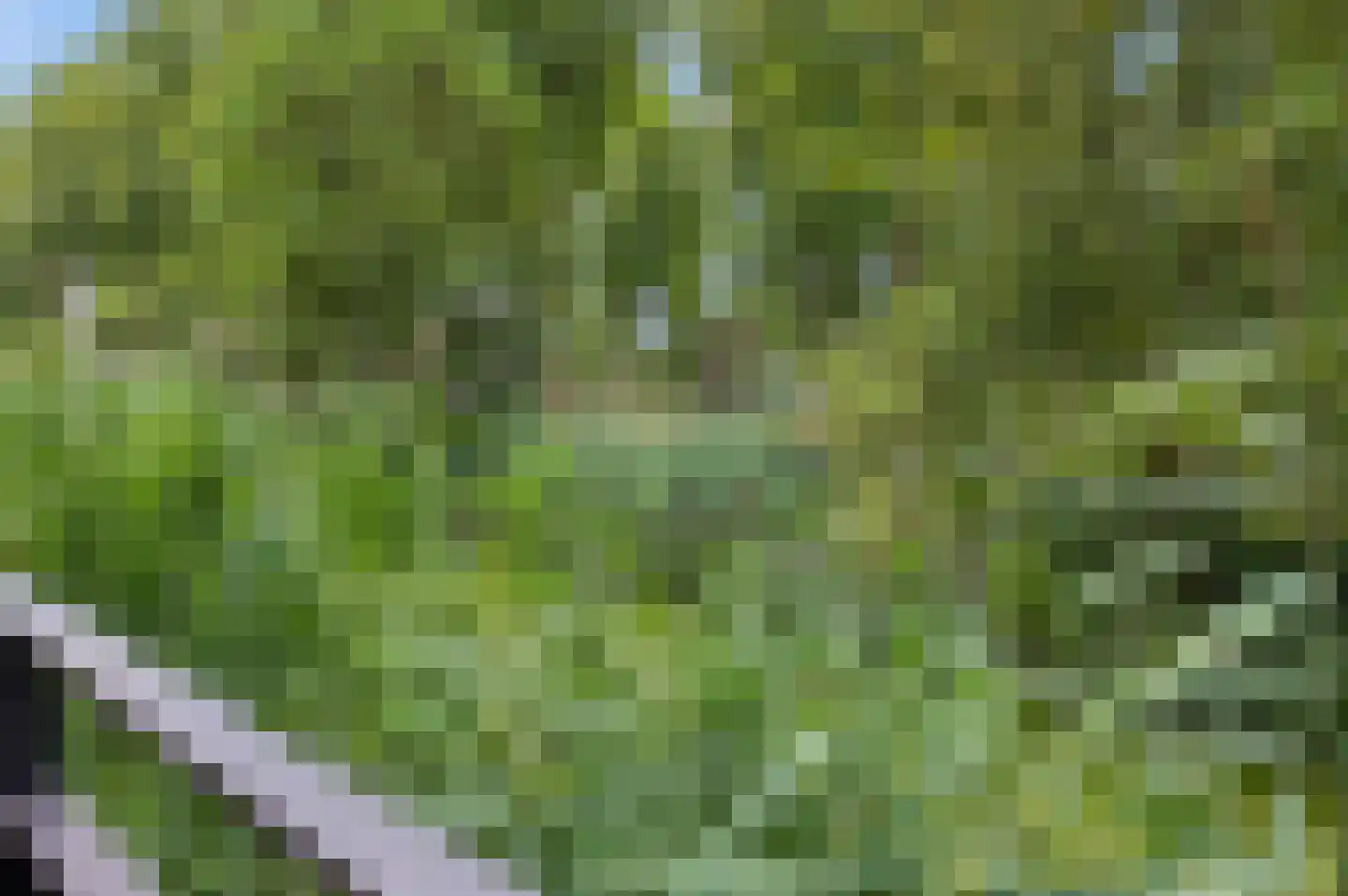 MacBridestraat 6 Veenendaal thumbnail 35