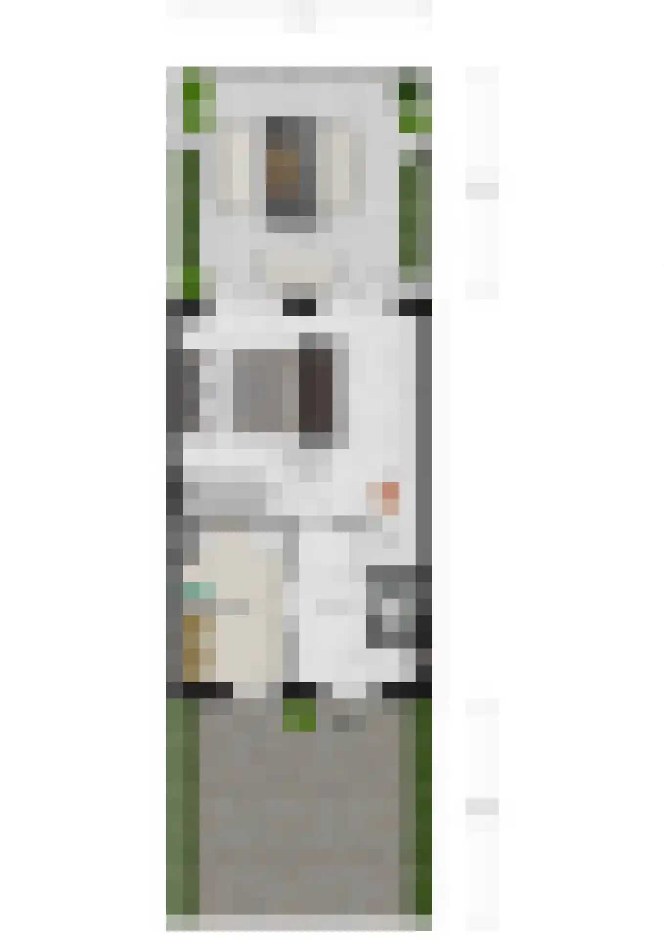 MacBridestraat 6 Veenendaal thumbnail 39