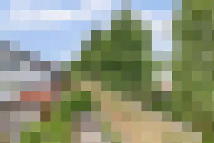 MacBridestraat 67 Veenendaal thumbnail 30